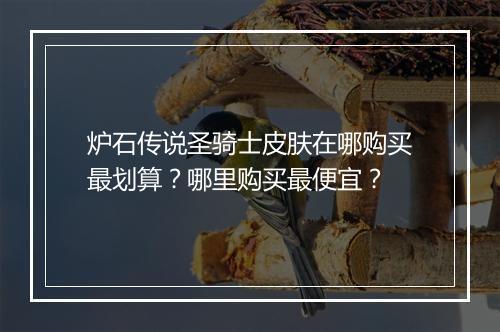 炉石传说圣骑士皮肤在哪购买最划算？哪里购买最便宜？