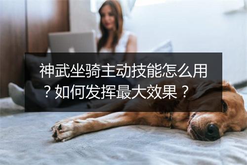 神武坐骑主动技能怎么用？如何发挥最大效果？