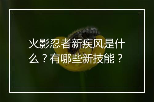 火影忍者新疾风是什么？有哪些新技能？