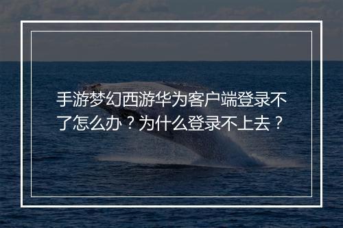 手游梦幻西游华为客户端登录不了怎么办？为什么登录不上去？