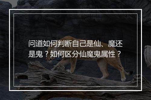 问道如何判断自己是仙、魔还是鬼?如何区分仙魔鬼属性?