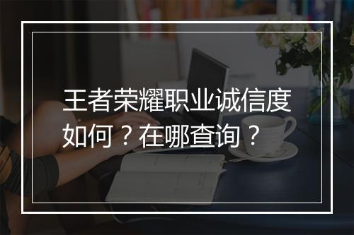 王者荣耀职业诚信度如何？在哪查询？