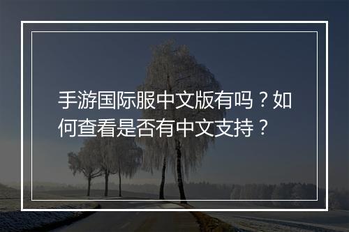 手游国际服中文版有吗?如何查看是否有中文支持?