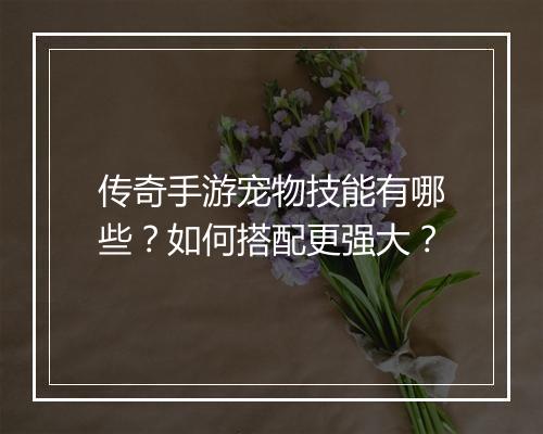 传奇手游宠物技能有哪些？如何搭配更强大？