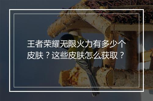 王者荣耀无限火力有多少个皮肤?这些皮肤怎么获取?