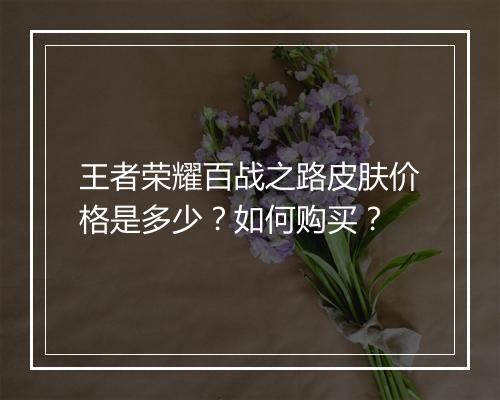 王者荣耀百战之路皮肤价格是多少？如何购买？