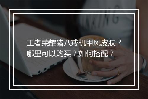 王者荣耀猪八戒机甲风皮肤？哪里可以购买？如何搭配？