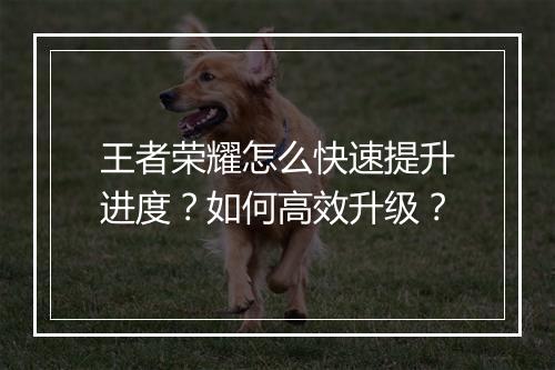 王者荣耀怎么快速提升进度？如何高效升级？