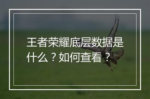 王者荣耀底层数据是什么?如何查看?