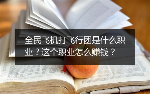 全民飞机打飞行团是什么职业？这个职业怎么赚钱？