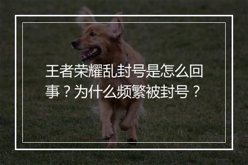 王者荣耀乱封号是怎么回事？为什么频繁被封号？