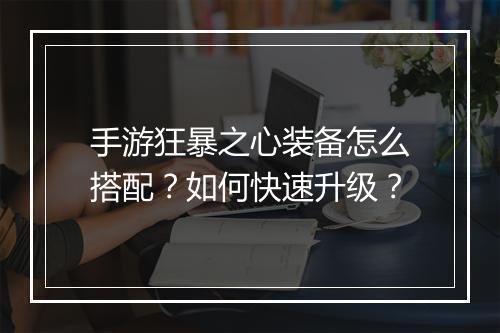手游狂暴之心装备怎么搭配？如何快速升级？