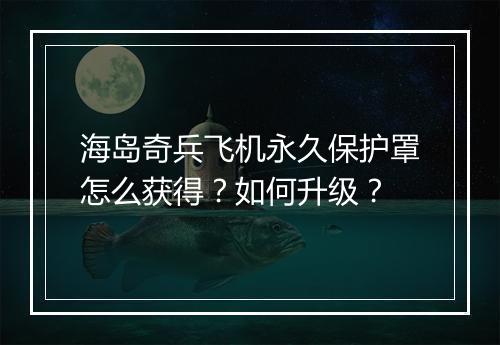海岛奇兵飞机永久保护罩怎么获得？如何升级？