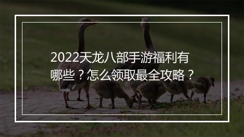 2022天龙八部手游福利有哪些？怎么领取最全攻略？