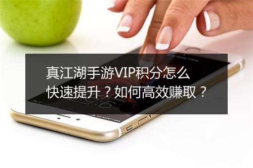 真江湖手游VIP积分怎么快速提升？如何高效赚取？