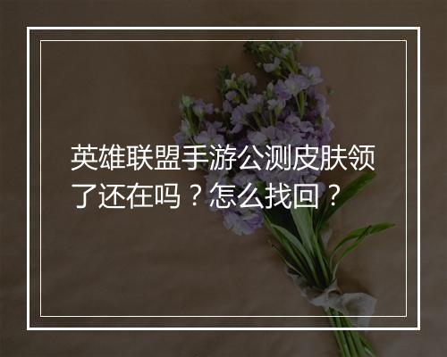英雄联盟手游公测皮肤领了还在吗？怎么找回？