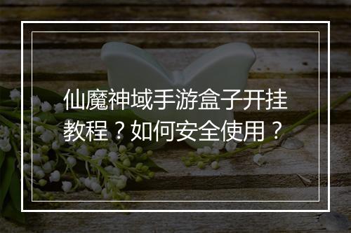 仙魔神域手游盒子开挂教程？如何安全使用？