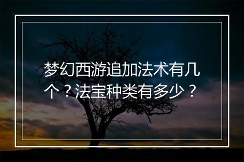 梦幻西游追加法术有几个？法宝种类有多少？