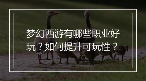 梦幻西游有哪些职业好玩？如何提升可玩性？
