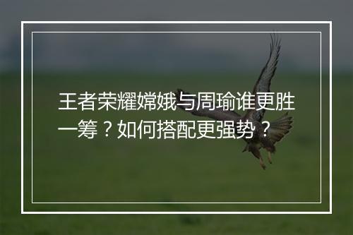 王者荣耀嫦娥与周瑜谁更胜一筹？如何搭配更强势？