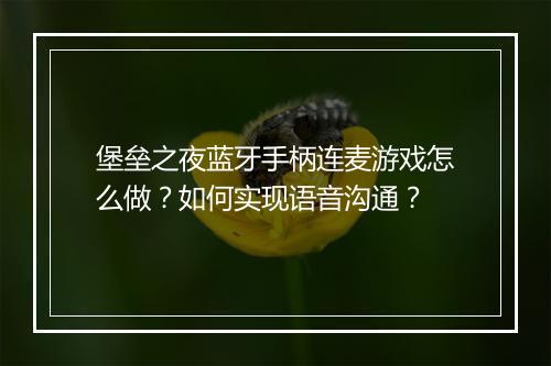堡垒之夜蓝牙手柄连麦游戏怎么做？如何实现语音沟通？