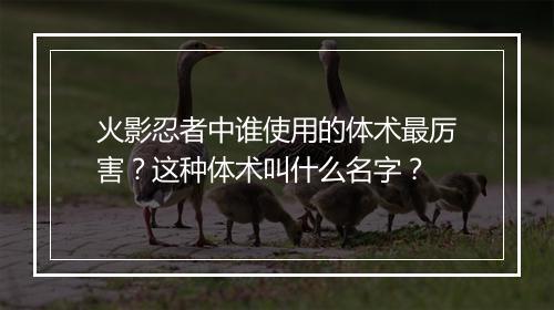 火影忍者中谁使用的体术最厉害?这种体术叫什么名字?