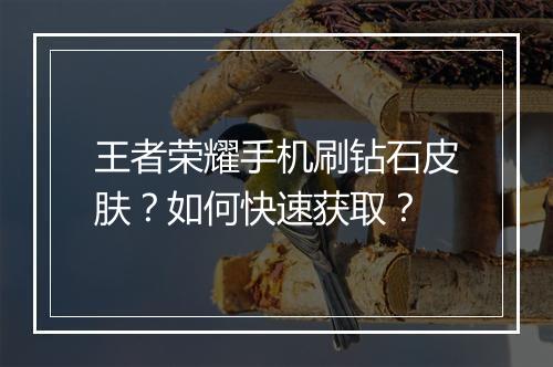 王者荣耀手机刷钻石皮肤？如何快速获取？