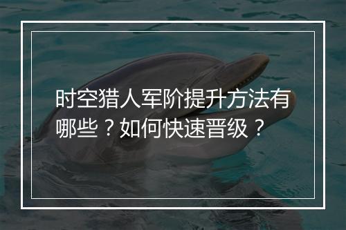 时空猎人军阶提升方法有哪些？如何快速晋级？