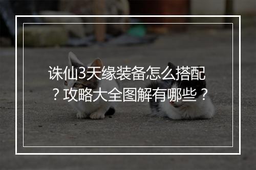诛仙3天缘装备怎么搭配？攻略大全图解有哪些？