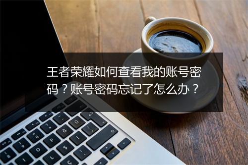 王者荣耀如何查看我的账号密码？账号密码忘记了怎么办？