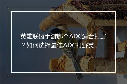 英雄联盟手游哪个ADC适合打野？如何选择最佳ADC打野英雄？