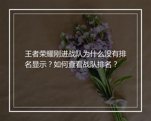 王者荣耀刚进战队为什么没有排名显示？如何查看战队排名？