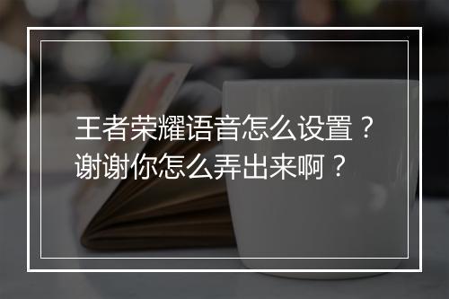 王者荣耀语音怎么设置？谢谢你怎么弄出来啊？