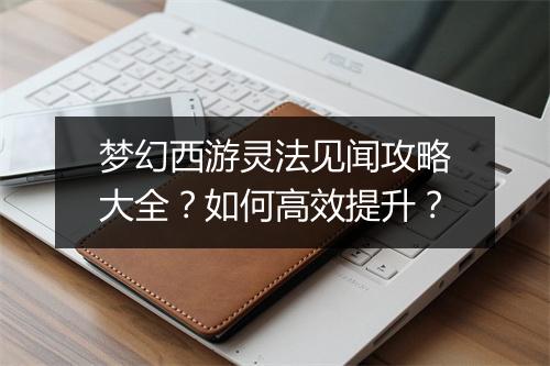 梦幻西游灵法见闻攻略大全？如何高效提升？