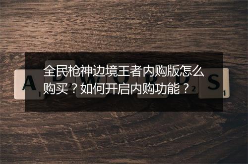 全民枪神边境王者内购版怎么购买？如何开启内购功能？
