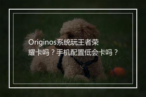 Originos系统玩王者荣耀卡吗？手机配置低会卡吗？