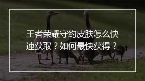 王者荣耀守约皮肤怎么快速获取？如何最快获得？
