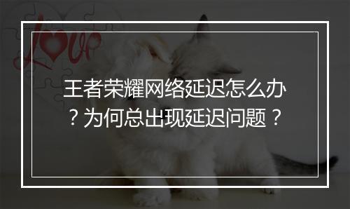 王者荣耀网络延迟怎么办？为何总出现延迟问题？