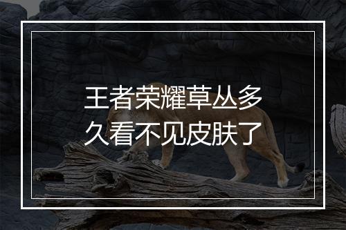 王者荣耀草丛多久看不见皮肤了