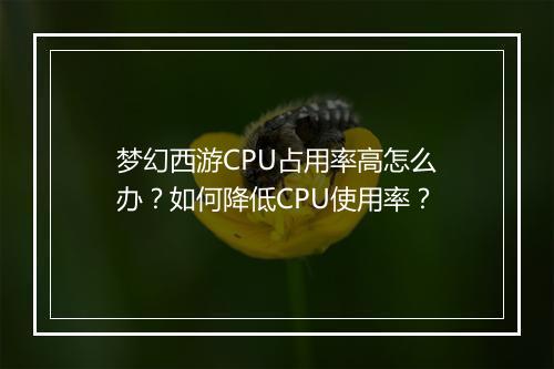 梦幻西游CPU占用率高怎么办？如何降低CPU使用率？