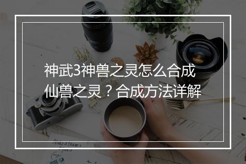 神武3神兽之灵怎么合成仙兽之灵？合成方法详解