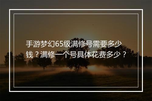 手游梦幻65级满修号需要多少钱？满修一个号具体花费多少？