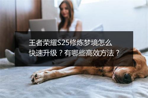 王者荣耀S25修炼梦境怎么快速升级？有哪些高效方法？