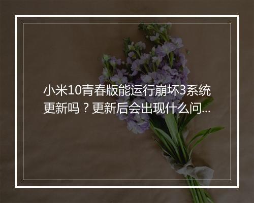 小米10青春版能运行崩坏3系统更新吗？更新后会出现什么问题？