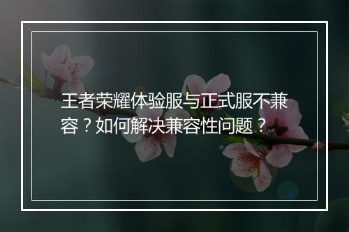 王者荣耀体验服与正式服不兼容?如何解决兼容性问题?