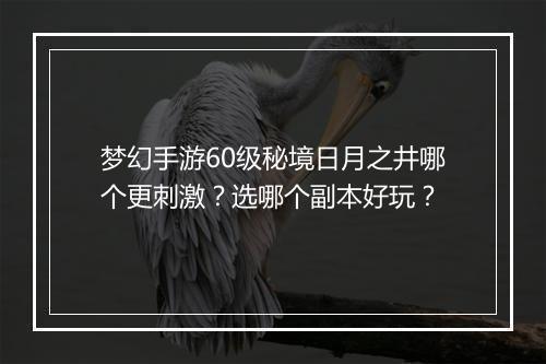梦幻手游60级秘境日月之井哪个更刺激？选哪个副本好玩？