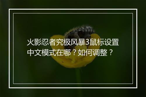 火影忍者究极风暴3鼠标设置中文模式在哪？如何调整？