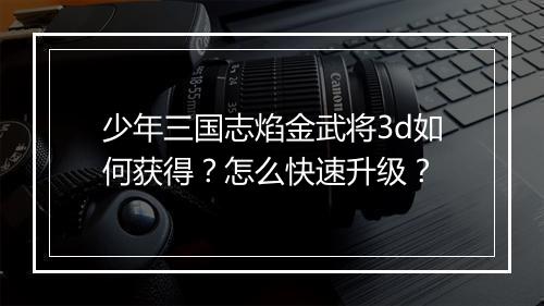 少年三国志焰金武将3d如何获得？怎么快速升级？