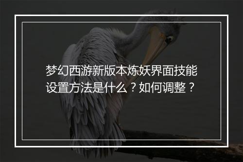 梦幻西游新版本炼妖界面技能设置方法是什么?如何调整?