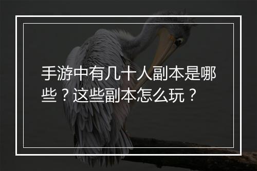 手游中有几十人副本是哪些？这些副本怎么玩？